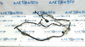 The rear bumper wiring for the parking sensors on a Ford Escape MK4 21-25 is cut.