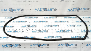 Kia Optima 16-20 rear right door seal
