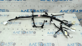 Lexus NX200t NX300 NX300h 15-21 Trunk Wiring