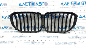 Radiator grill BMW X5 G05 19-23 chrome, under the camera, sand