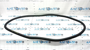 Lincoln MKZ 13-20 rear right door seal
