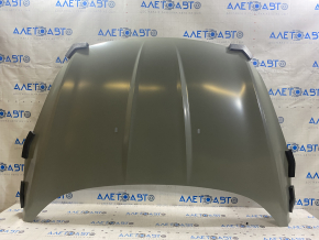 Naked hood Ford Escape MK3 13-16 prerest