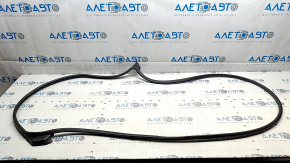 Kia EV6 22-24 Front Right Door Seal