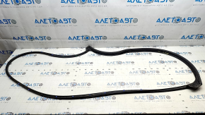 Kia EV6 22-24 Front Right Door Seal