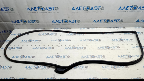 Kia EV6 Front Left Door Seal 22-24