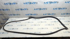 Kia EV6 Front Left Door Seal 22-24