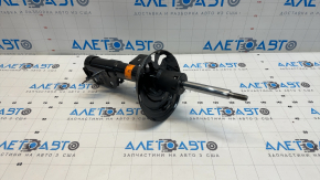 Front left shock absorber Lexus ES300h 21-24