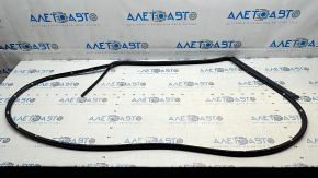 Kia EV6 22-24 Rear Left Door Seal