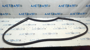 Kia EV6 22-24 Rear Left Door Seal