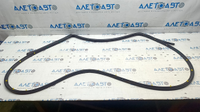 Kia EV6 22-24 rear right door seal
