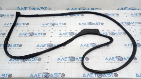 The front left door seal of the Hyundai Ioniq 17-22 is torn.