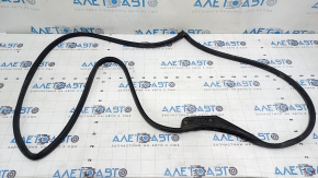 The front left door seal of the Hyundai Ioniq 17-22 is torn.