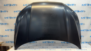 Naked hood Ford Escape MK4 23-24