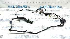 Audi A4 B9 17-25 front right door wiring