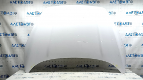 Naked hood Ford Escape MK3 17-19 rest, black G1, sand