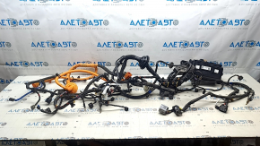 Kia EV6 22-24 underhood wiring with fuse box