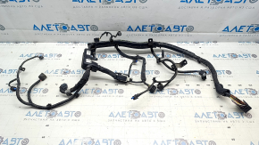 Kia EV6 22-24 Front Electric Motor Wiring