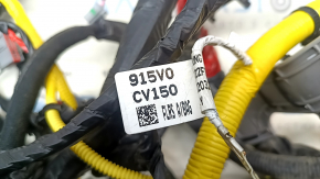 Kia EV6 22-24 interior wiring