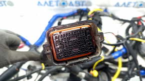 Kia EV6 22-24 interior wiring