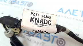 Ford Escape MK4 23-motor wiring