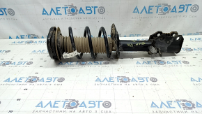 Shock absorber strut assembly front left Ford Escape MK4 21-22 1.5T, hybrid AWD