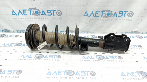 Shock absorber strut assembly front right Ford Escape MK4 20-22 1.5T, hybrid AWD