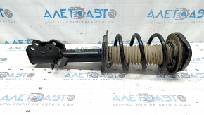 Shock absorber strut assembly front right Ford Escape MK4 20-22 1.5T, hybrid AWD