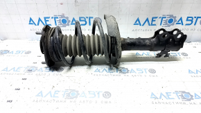 Front right shock absorber assembly for Toyota Prius 50 19-22 AWD
