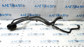 Toyota Prius 50 19-22 AWD Fuel Filler Neck
