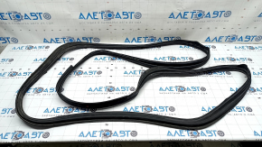 Tesla Model X 22-25 rear left door seal