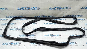 Tesla Model X 22-25 rear right door seal