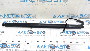 Tesla Model X 22-25 Left Trunk Door Shock Absorber