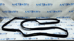 Tesla Model X 22-25 rear right door seal cuts
