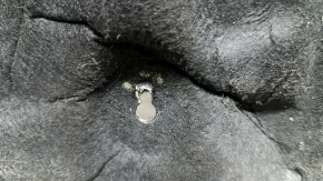 Tesla Model X 22-25 rear engine soundproofing is cracked.