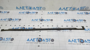 Tesla Model X 22-25 lower rear right door seal