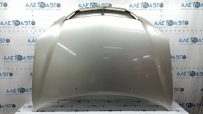 Lexus RX300 RX330 RX350 RX400h 04-09 gold 4R4 hood, corrosion