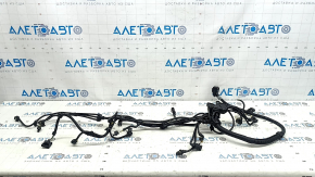 BMW X5 G05 19-20 3.0T B58B30C Engine Wiring, 1 Module, Cut Connector