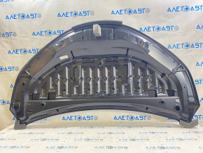 Toyota Sienna 21-24 steel hood