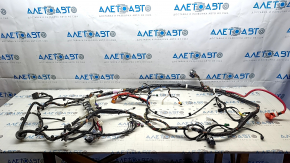 Right interior wiring for Tesla Model 3 18-