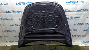 Tesla Model 3 18" hood, steel, PMNG graphite, bumpers