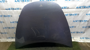 Tesla Model 3 18" hood, steel, PMNG graphite, bumpers