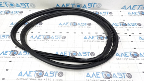 Front right door seal BMW X1 F48 16-22, tears