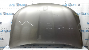 Chrysler Pacifica 17-24 aluminum hood, beige PTE, corrosion, bumps