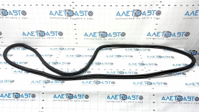 Door seal rear left Chrysler Pacifica 17-