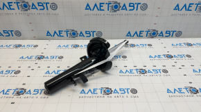 Shock absorber front right Ford C-max MK2 13-18 KYB