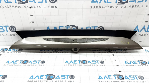 Chrysler Pacifica 17-20 Trunk Door Trim for Camera