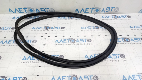 Audi Q3 83A 19-25 exterior panorama seal tear
