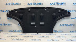 Hyundai Ioniq 5 22-24 Front Bumper Guard