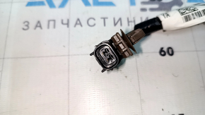 Right fog light wiring for a Honda Accord 18-22