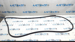 Honda Accord 23-24 front left door seal